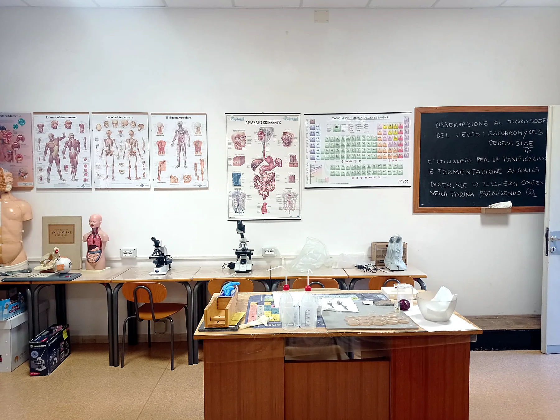 Aula di scienze con i microscopi sui banchi, cartelloni di anatomia, tavola periodica e banco per gli esperimenti