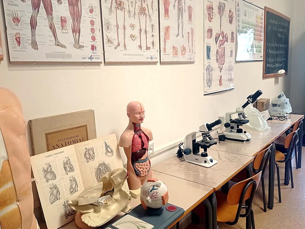 Modelli anatomici e atlante accanto ai microscopi